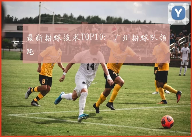 最新排球技术TOP10：广州排球队领跑