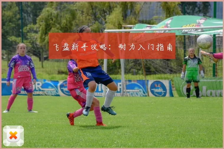 飞盘新手攻略：耐力入门指南