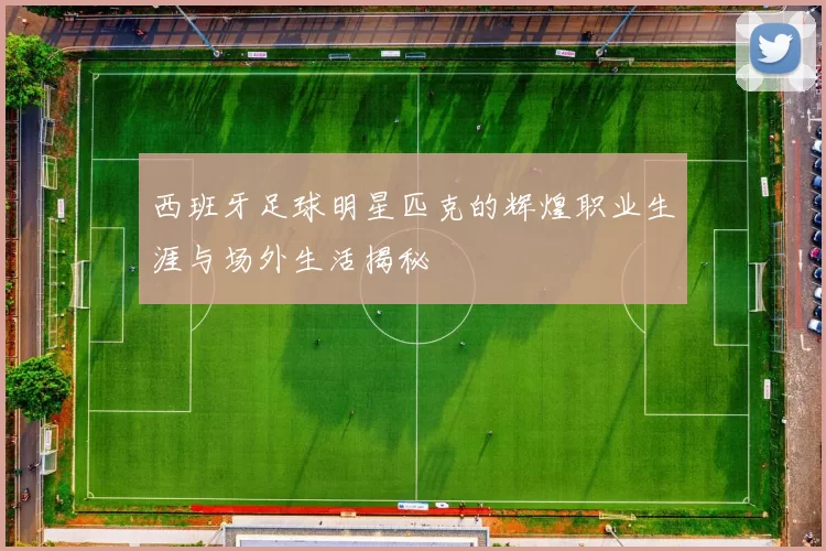 西班牙足球明星匹克的辉煌职业生涯与场外生活揭秘