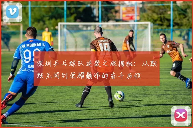 深圳乒乓球队逆袭之旅揭秘：从默默无闻到荣耀巅峰的奋斗历程