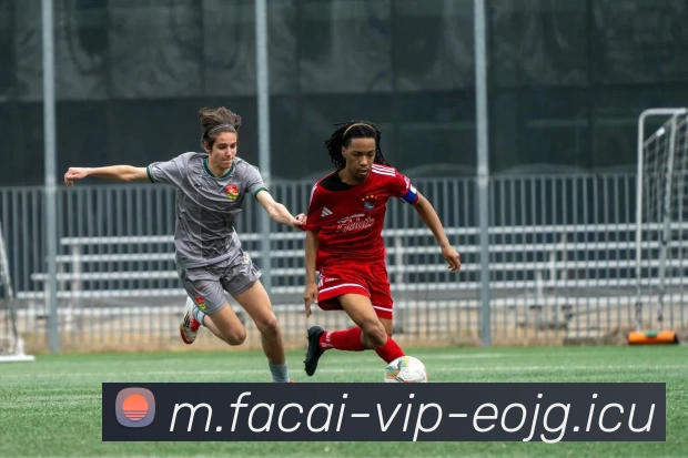 九游体育APP 封面图